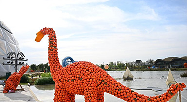青島：“南瓜王國(guó)”吸引游客