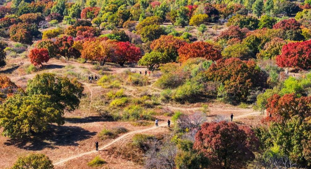 烏旦塔拉 美如童話